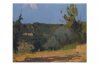 1930 - Mattino d'estate
